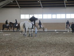 img_6010_web